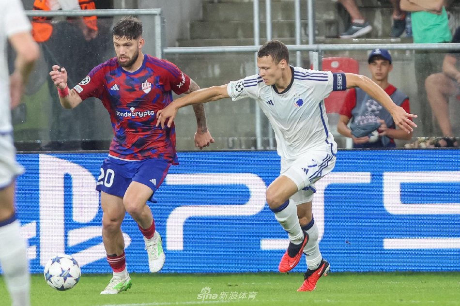 表现充满期 表现充满期